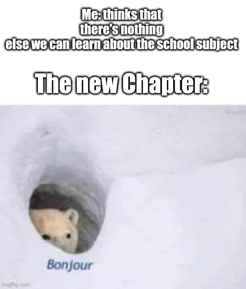 This happens a lot to me | Me: thinks that there's nothing else we can learn about the school subject; The new Chapter: | image tagged in bonjour,school,school meme,high school,school days | made w/ Imgflip meme maker