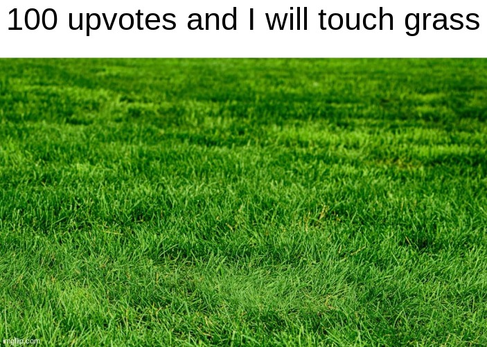 Downvote | 100 upvotes and I will touch grass | made w/ Imgflip meme maker