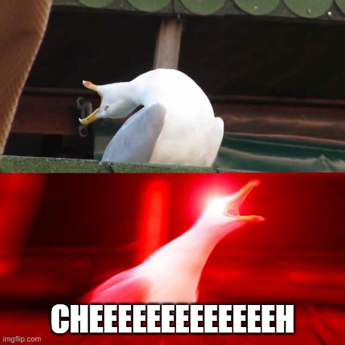 BOY seagull | CHEEEEEEEEEEEEEH | image tagged in inhaling seagull | made w/ Imgflip meme maker