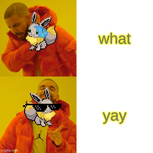 Drake Hotline Bling Meme | what yay | image tagged in memes,drake hotline bling | made w/ Imgflip meme maker