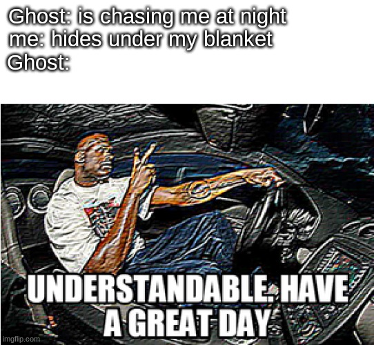 UNDERSTANDABLE, HAVE A GREAT DAY | Ghost: is chasing me at night             
me: hides under my blanket               
Ghost: | image tagged in understandable have a great day | made w/ Imgflip meme maker