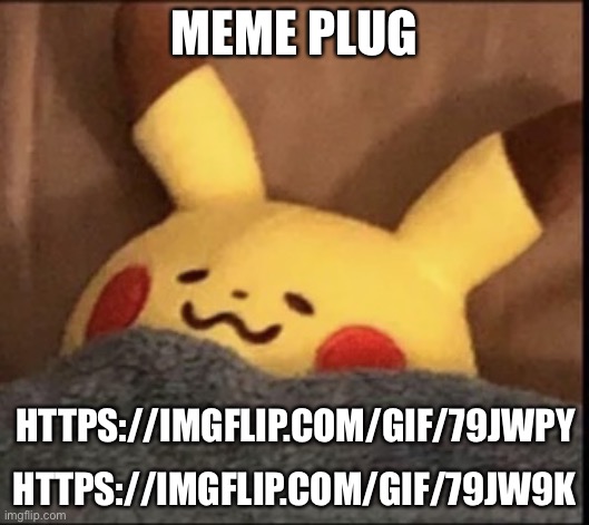 Meme plug | MEME PLUG; HTTPS://IMGFLIP.COM/GIF/79JWPY; HTTPS://IMGFLIP.COM/GIF/79JW9K | image tagged in pikachu sleep | made w/ Imgflip meme maker