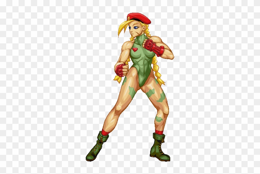 Cammy Blank Meme Template
