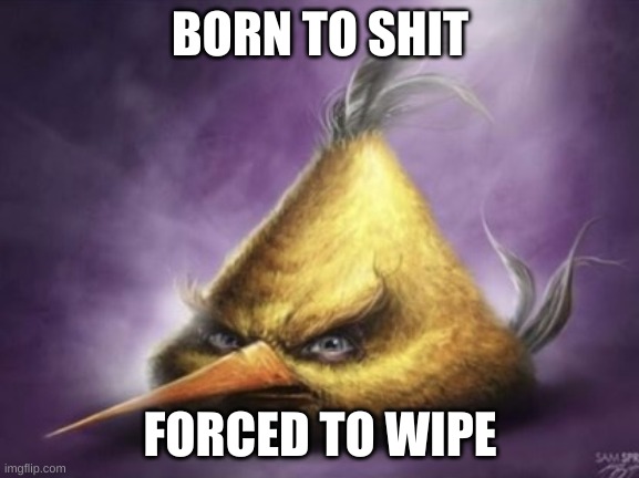 And deals with the same crap | BORN TO SHIT; FORCED TO WIPE | image tagged in born to shit forced ti wipe | made w/ Imgflip meme maker