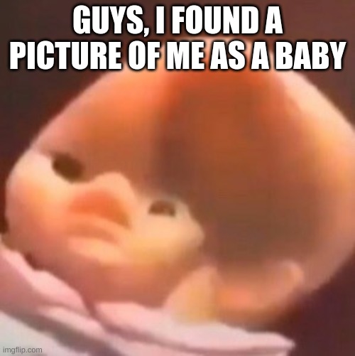 Real | GUYS, I FOUND A PICTURE OF ME AS A BABY | image tagged in real,baby,picture | made w/ Imgflip meme maker