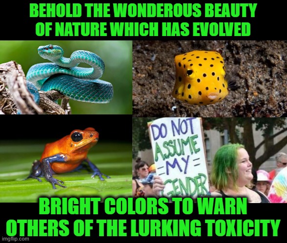 BEHOLD THE WONDEROUS BEAUTY OF NATURE WHICH HAS EVOLVED BRIGHT COLORS TO WARN OTHERS OF THE LURKING TOXICITY | made w/ Imgflip meme maker