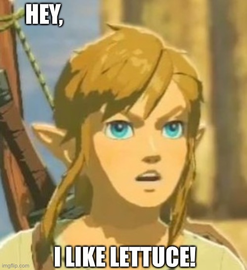 Offended Link | HEY, I LIKE LETTUCE! | image tagged in offended link | made w/ Imgflip meme maker
