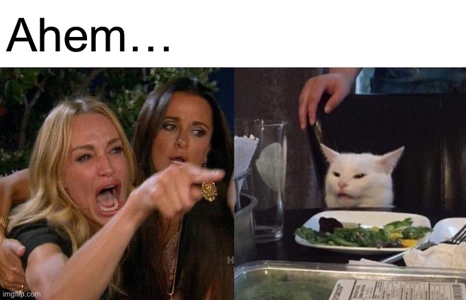 Woman Yelling At Cat Meme | Ahem… | image tagged in memes,woman yelling at cat | made w/ Imgflip meme maker