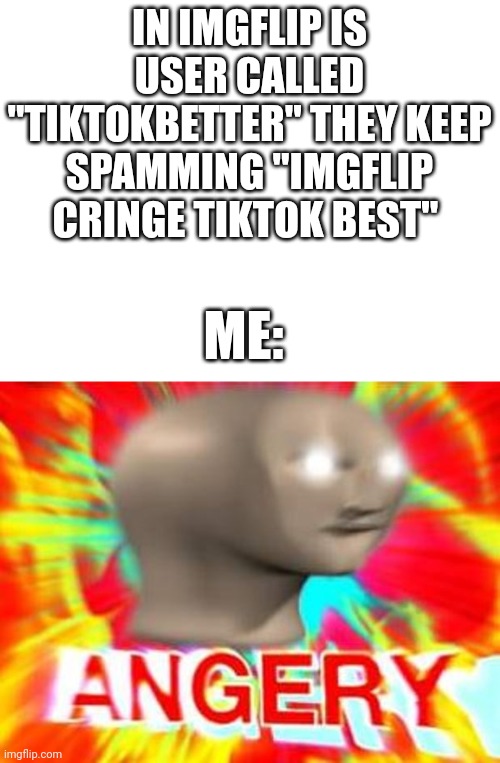 Lets get rid of em. | IN IMGFLIP IS USER CALLED "TIKTOKBETTER" THEY KEEP SPAMMING "IMGFLIP CRINGE TIKTOK BEST"; ME: | image tagged in surreal angery | made w/ Imgflip meme maker