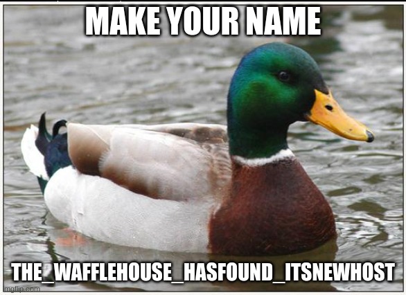 Actual Advice Mallard Meme | MAKE YOUR NAME THE_WAFFLEHOUSE_HASFOUND_ITSNEWHOST | image tagged in memes,actual advice mallard | made w/ Imgflip meme maker