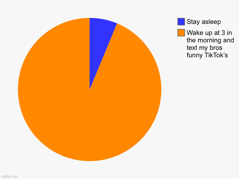 Wake up at 3 in the morning and text my bros funny TikTok’s, Stay asleep | image tagged in charts,pie charts | made w/ Imgflip chart maker