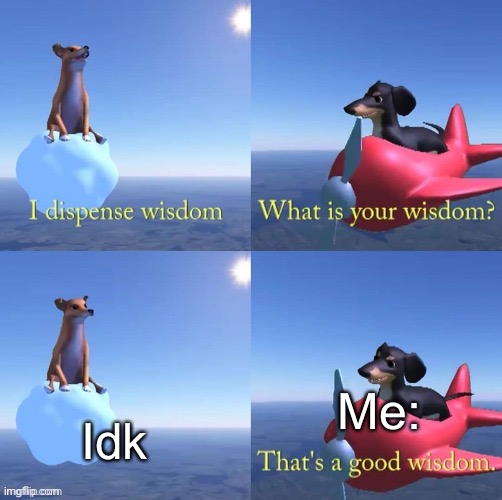 Wisdom dog | Idk Me: | image tagged in wisdom dog | made w/ Imgflip meme maker