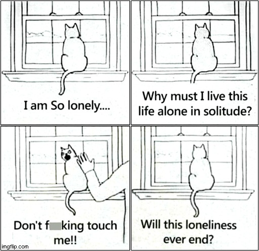 I Relate To This Cat ! | image tagged in cats,lonely,relateable | made w/ Imgflip meme maker