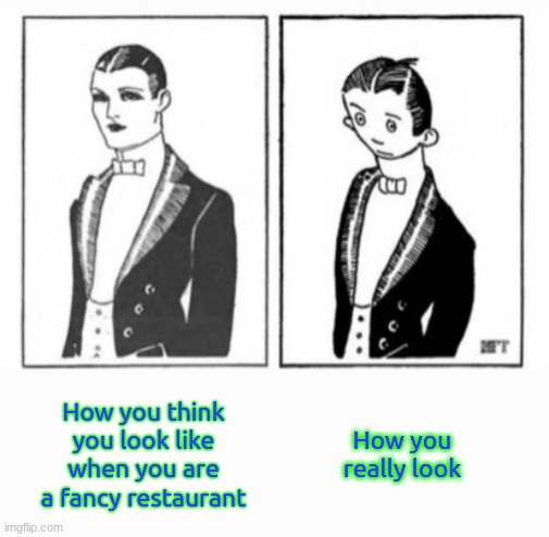 How you think you look like vs. How you really look like | How you think you look like when you are a fancy restaurant; How you really look | image tagged in how you think you look like vs how you really look like | made w/ Imgflip meme maker