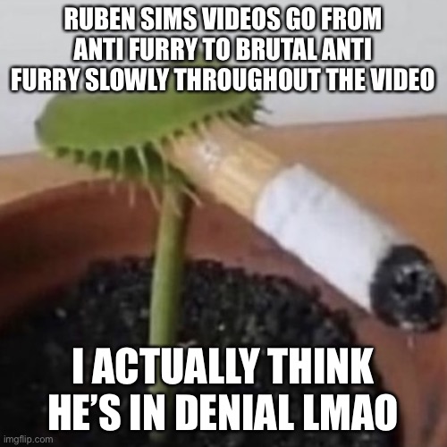 Like bro its just now that he increased his hate torwards furries, i bet he’s hiding some shit | RUBEN SIMS VIDEOS GO FROM ANTI FURRY TO BRUTAL ANTI FURRY SLOWLY THROUGHOUT THE VIDEO; I ACTUALLY THINK HE’S IN DENIAL LMAO | image tagged in plant smoking a cigarette | made w/ Imgflip meme maker