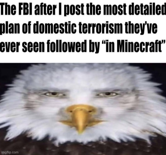 minecraft | image tagged in bruh,lol,why are you reading this | made w/ Imgflip meme maker