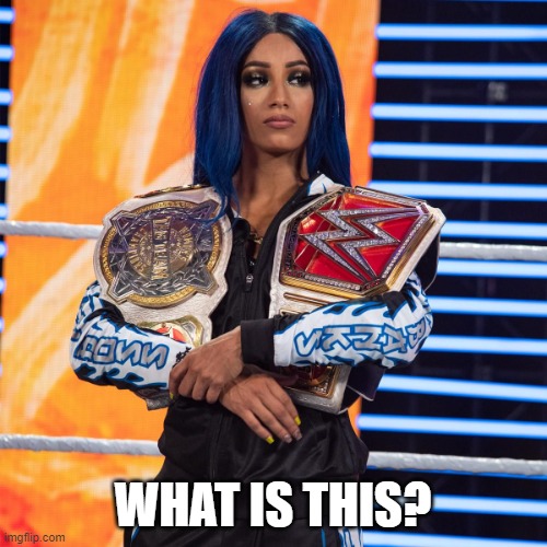 Sasha Banks | WHAT IS THIS? | image tagged in sasha banks | made w/ Imgflip meme maker