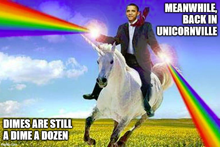 MEANWHILE,
BACK IN
UNICORNVILLE; DIMES ARE STILL
A DIME A DOZEN | image tagged in 10 sense for 12 | made w/ Imgflip meme maker