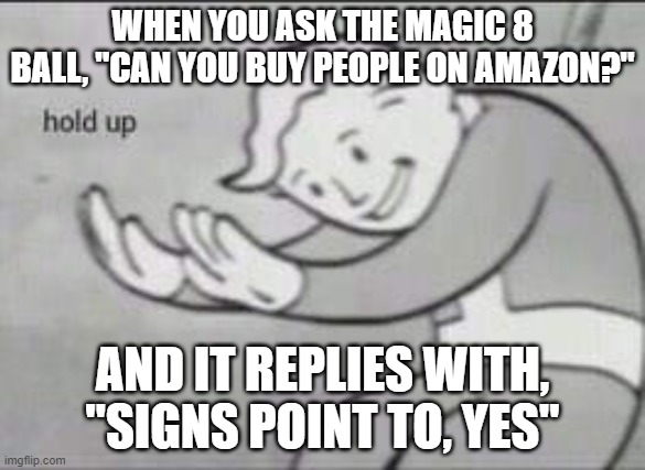 Magic 8 Ball | WHEN YOU ASK THE MAGIC 8 BALL, "CAN YOU BUY PEOPLE ON AMAZON?"; AND IT REPLIES WITH, "SIGNS POINT TO, YES" | image tagged in fallout hold up | made w/ Imgflip meme maker
