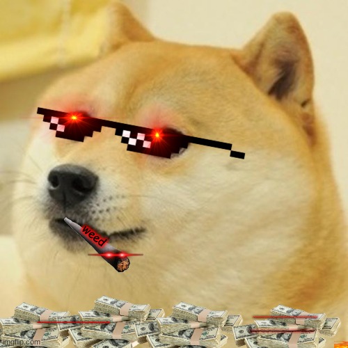 Doge | weed; 1001010010101001010101010101001010100101010100101010101001010101010100001010101010100101010100101010100101010100101010101001010101001010101001010101010010101010101001010100; rehhehehehehehehehehehehheheheheheheheheheheheheheheheheheheheehehehehehheheheehehehhehehehehheehehhrehehhrhehhejefhjhuuehghwjehgehwjdfhfdjhfhdjhhjhhhfgdhsjbshhghjhfghdjhfgdhhhhghjhfghdghhh; 0101010101010101010101001000101010101010101010101010001010101001010101010101001010101010101001010101010010101010101001010101001010101001010101010100101010101010010101010100; 787438957348758437789758934758935832758735878973285737589385937827590278707000077705555555555758937543666784767436257436574675466746787857857348574875834784758784758439758497589754389789734857785734874385738573857458877875875845734857348957348573485748574389573485734895734857385777857485973458973458743758437583475348957398574857487778834758347553489755487538957485734857485778475388778974857485745348578475893475894758573489573573485778475847583475847588759875983755584754385748577857348573845734875785547574573487 | image tagged in memes,doge | made w/ Imgflip meme maker