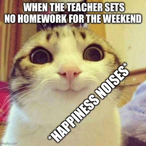 Smiling Cat | WHEN THE TEACHER SETS NO HOMEWORK FOR THE WEEKEND; *HAPPINESS NOISES* | image tagged in memes,smiling cat | made w/ Imgflip meme maker