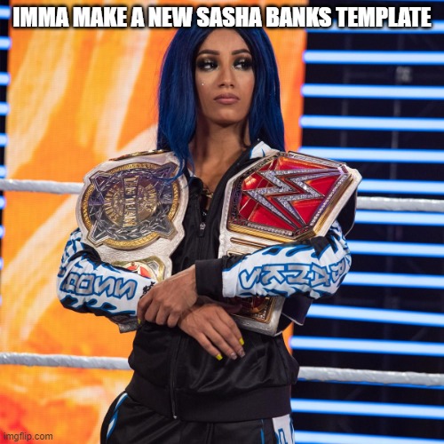 Sasha Banks | IMMA MAKE A NEW SASHA BANKS TEMPLATE | image tagged in sasha banks | made w/ Imgflip meme maker