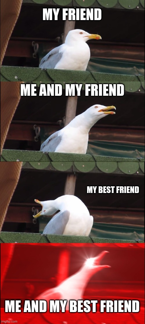 Inhaling Seagull Meme | MY FRIEND; ME AND MY FRIEND; MY BEST FRIEND; ME AND MY BEST FRIEND | image tagged in memes,inhaling seagull | made w/ Imgflip meme maker