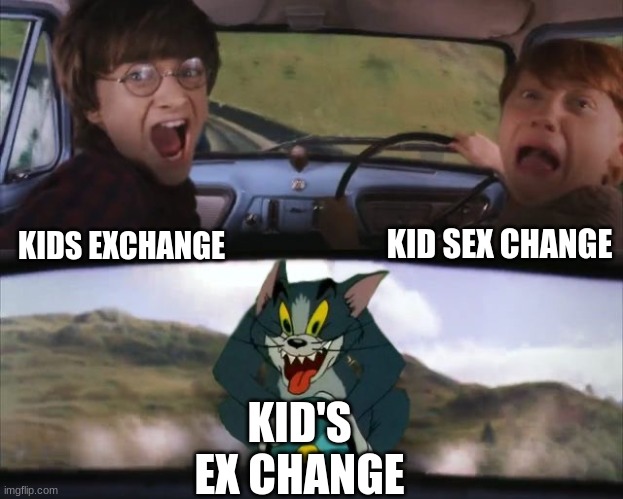 Kidsexchange | KIDS EXCHANGE KID SEX CHANGE KID'S EX CHANGE | image tagged in tom chasing harry and ron weasly | made w/ Imgflip meme maker