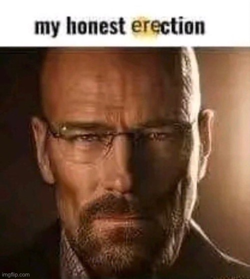 walter | image tagged in bruh,lol,why are you reading this | made w/ Imgflip meme maker