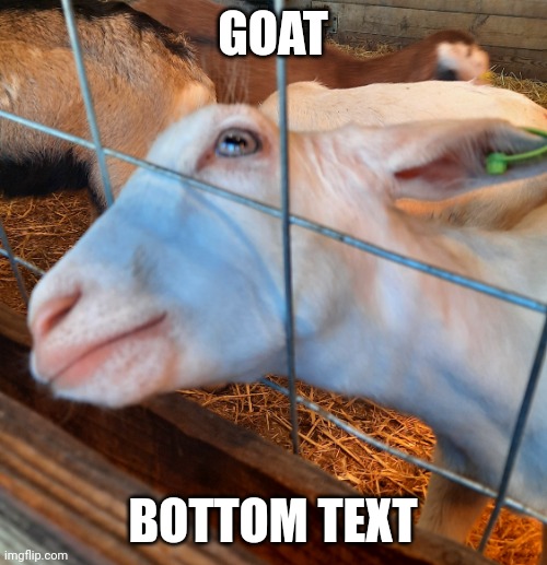 Goat | GOAT; BOTTOM TEXT | image tagged in bad advice goat | made w/ Imgflip meme maker