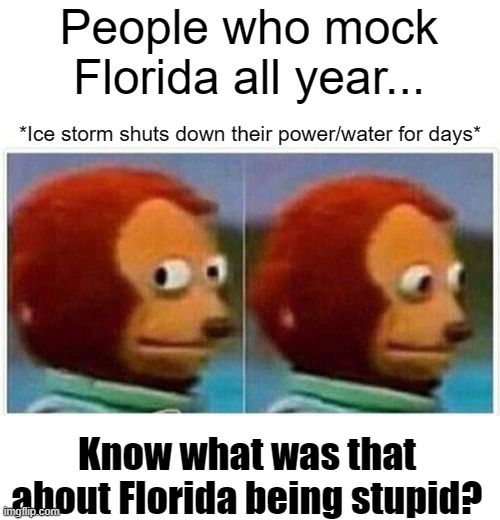 Who's laughing now? | People who mock Florida all year... *Ice storm shuts down their power/water for days*; Know what was that about Florida being stupid? | image tagged in memes,monkey puppet,florida,haters,winter,winter storm | made w/ Imgflip meme maker