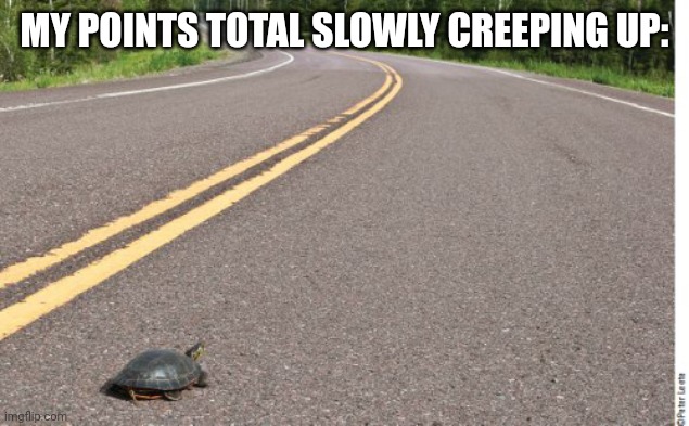 Slow Progress Turtle | MY POINTS TOTAL SLOWLY CREEPING UP: | image tagged in slow progress turtle | made w/ Imgflip meme maker