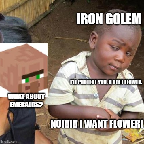 I WANT FLOWER |  IRON GOLEM; I'LL PROTECT YOU, IF I GET FLOWER. WHAT ABOUT EMERALDS? NO!!!!!! I WANT FLOWER! | image tagged in memes,third world skeptical kid | made w/ Imgflip meme maker