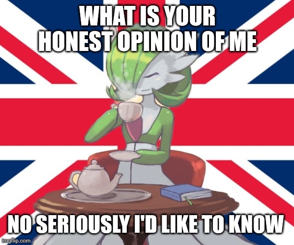 . | WHAT IS YOUR HONEST OPINION OF ME; NO SERIOUSLY I'D LIKE TO KNOW | image tagged in gardi the bri'ish | made w/ Imgflip meme maker