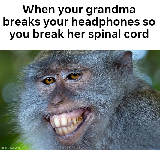 Eye for a eye | When your grandma breaks your headphones so you break her spinal cord | image tagged in funny animals | made w/ Imgflip meme maker