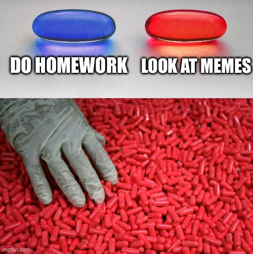 Blue or red pill | DO HOMEWORK; LOOK AT MEMES | image tagged in blue or red pill | made w/ Imgflip meme maker