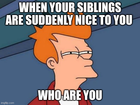 Who are you!! |  WHEN YOUR SIBLINGS ARE SUDDENLY NICE TO YOU; WHO ARE YOU | image tagged in memes,futurama fry | made w/ Imgflip meme maker