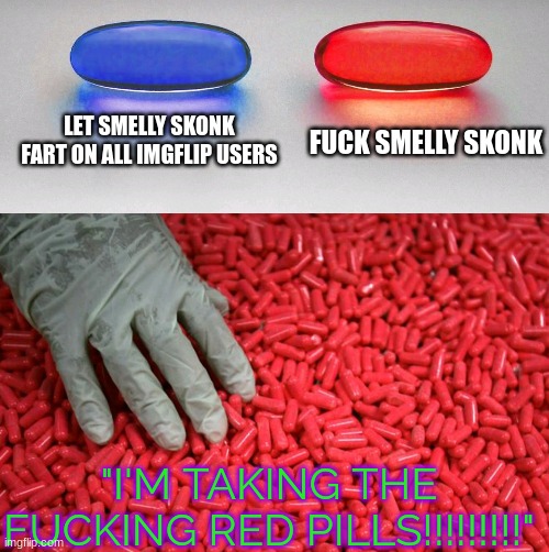 Take red pills | LET SMELLY SKONK FART ON ALL IMGFLIP USERS; FUCK SMELLY SKONK; "I'M TAKING THE FUCKING RED PILLS!!!!!!!!!" | image tagged in blue or red pill,what the fu- | made w/ Imgflip meme maker