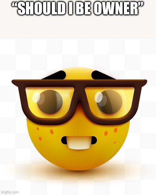 Nerd emoji | “SHOULD I BE OWNER” | image tagged in nerd emoji | made w/ Imgflip meme maker