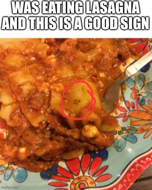 T_T | WAS EATING LASAGNA AND THIS IS A GOOD SIGN | image tagged in haha,bruh,food,yummy | made w/ Imgflip meme maker