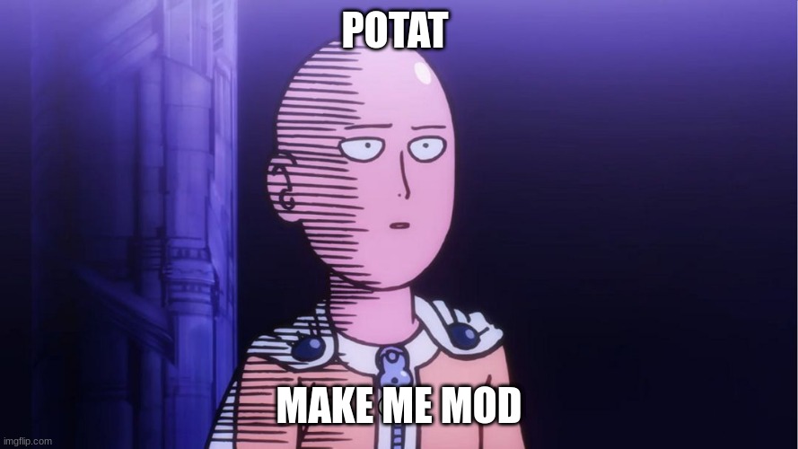 pls...*does puppy eyes* *flips hair* | POTAT; MAKE ME MOD | image tagged in saitama ok | made w/ Imgflip meme maker