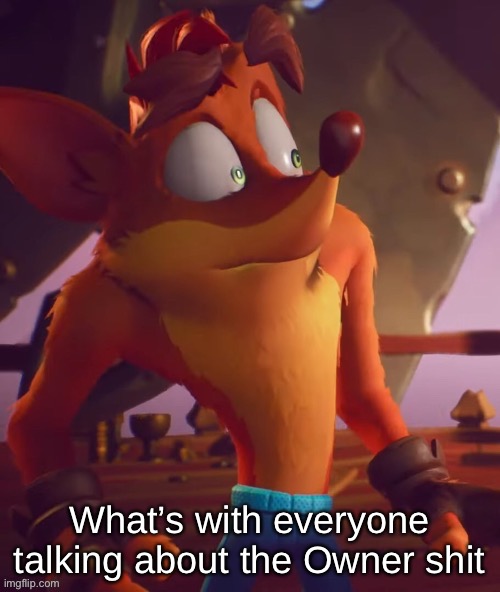Crash Bandicoot | What’s with everyone talking about the Owner shit | image tagged in crash bandicoot | made w/ Imgflip meme maker