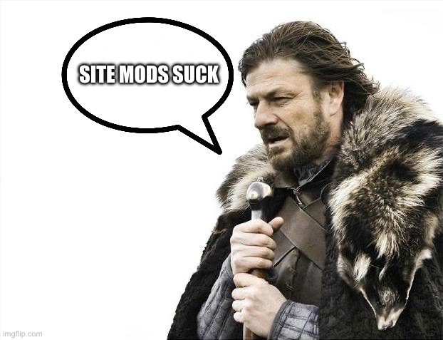 Dude let me argue in peace | SITE MODS SUCK | image tagged in memes,brace yourselves x is coming | made w/ Imgflip meme maker