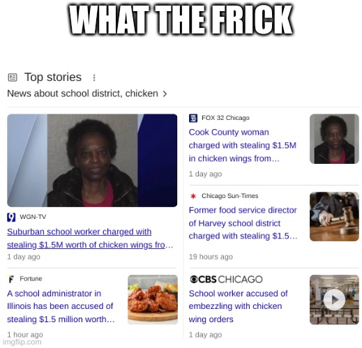What The FRICK | WHAT THE FRICK | image tagged in stolen chicken wings | made w/ Imgflip meme maker