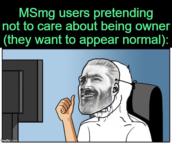 . | MSmg users pretending not to care about being owner (they want to appear normal): | image tagged in thumbs up smiling at computer | made w/ Imgflip meme maker