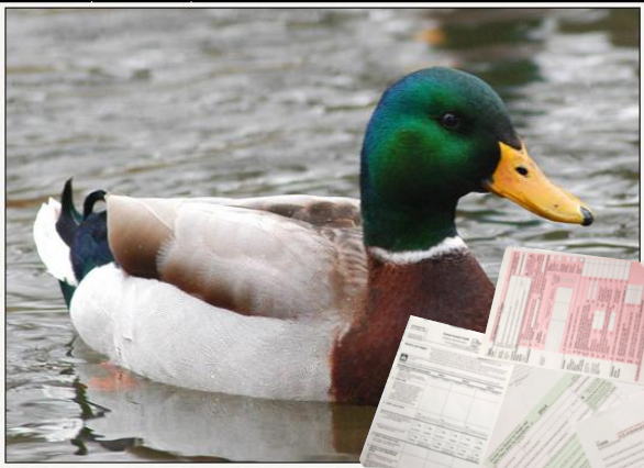 Actual Tax Mallard Blank Meme Template