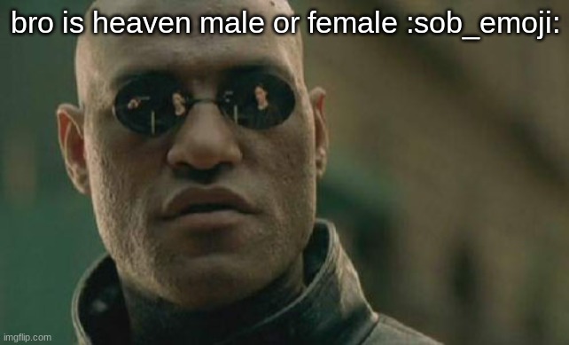 Matrix Morpheus Meme | bro is heaven male or female :sob_emoji: | image tagged in memes,matrix morpheus | made w/ Imgflip meme maker