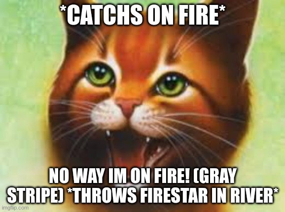 Warrior cats Firestar | *CATCHS ON FIRE*; NO WAY IM ON FIRE! (GRAY STRIPE) *THROWS FIRESTAR IN RIVER* | image tagged in warrior cats firestar | made w/ Imgflip meme maker