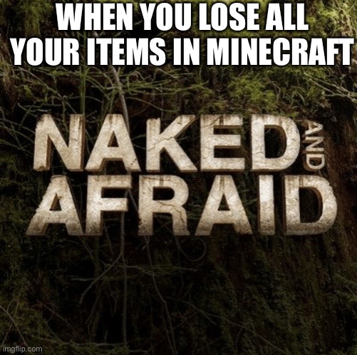 Naked and Afraid | WHEN YOU LOSE ALL YOUR ITEMS IN MINECRAFT | image tagged in naked and afraid | made w/ Imgflip meme maker