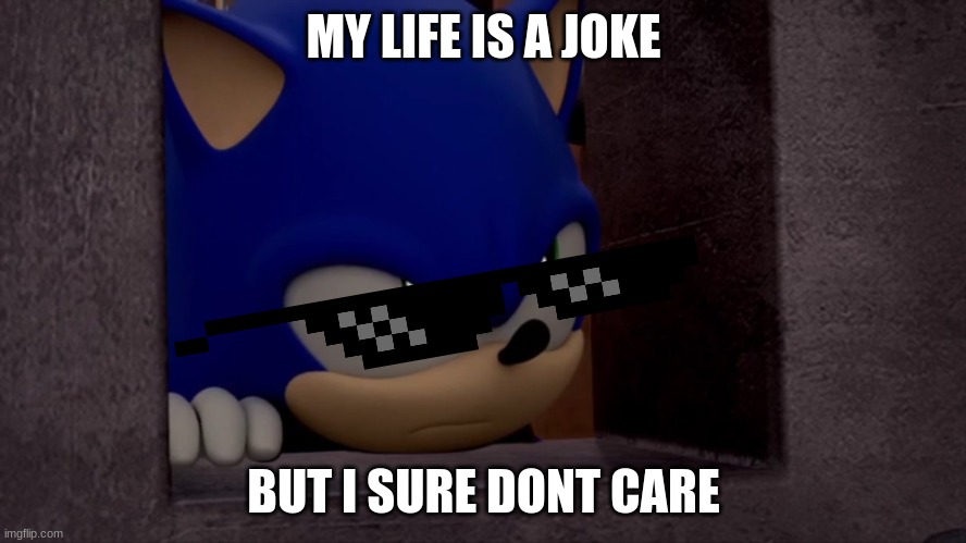 sonic boom | MY LIFE IS A JOKE; BUT I SURE DONT CARE | image tagged in sonic is not impressed - sonic boom | made w/ Imgflip meme maker